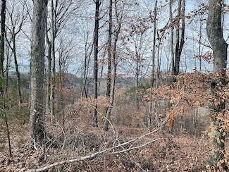 Lot 83 Stillwater, Russell Springs, KY 42642
