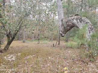Lot 98 Waters Edge Dr, Chocowinity, NC 27817