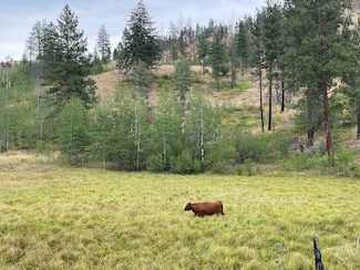 90 Woodward Rd, Okanogan, WA 98840