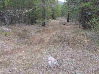 4150 Lyon & Moss Rd, Loon Lake, WA 99148