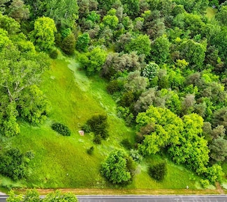 Parcel 1 Whites Bridge Rd, Belding, MI 48809