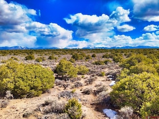 11522 Straighta Way Rd, San Luis, CO 81152