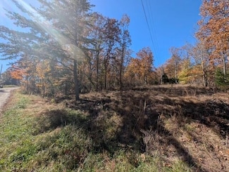 Lot 8 Raeanne Dr, Spring City, TN 37381