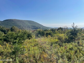 0 Crescent Moon Dr, Hepburn Township, PA 17728