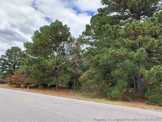 0 Clinton Rd, Stedman, NC 28391