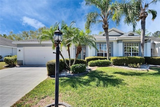 1034 Mcdaniel St, Sun City Center, FL 33573