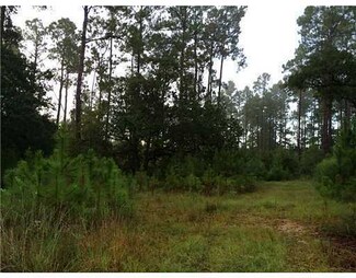 4233 Orchid St, Kiln, MS 39556