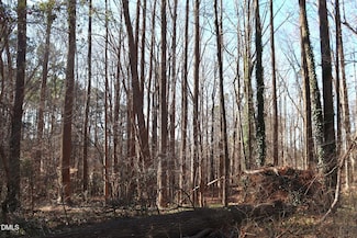 106 Frank Rd, Cary, NC 27518