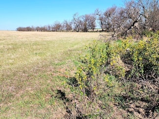Tbd County Road 34, Potter, NE 69156