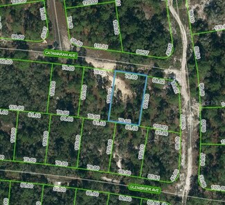 341 Boat Ramp Rd, Lake Placid, FL 33852