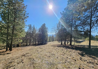 #11 Old Kettle Rd, Kettle Falls, WA 99141