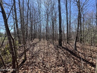 590 Stone Haven Trail, Jamestown, TN 38556