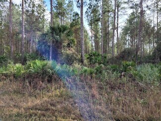 000C County Road 302, Bunnell, FL 32110