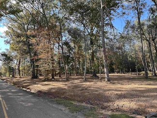 TBD Lemon Rd, Slaughter, LA 70777