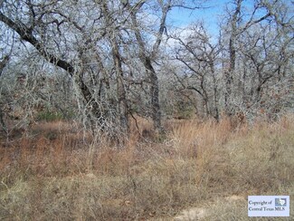 255 Longhorn Rd, Stockdale, TX 78160