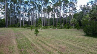 1351 Oak Pond Cir, Steinhatchee, FL 32359