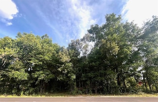 0000 NE 56th St, Spring Ridge, FL 32643