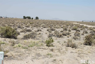 21 Ny-Jo Ln, Yerington, NV 89447