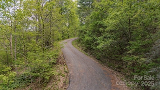 000 Buena Vista Dr Unit 25, Barnardsville, NC 28709