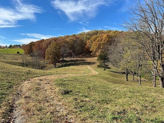 1748 Mountain Rd, Cedar Bluff, VA 24609