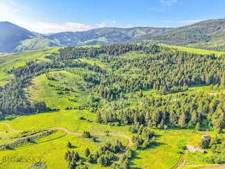 NHN Moose Meadows Rd, Livingston, MT 59047