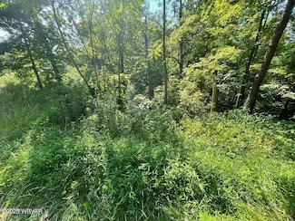 PARCEL 0047 Berry Rd, Beech Creek Township, PA 16822