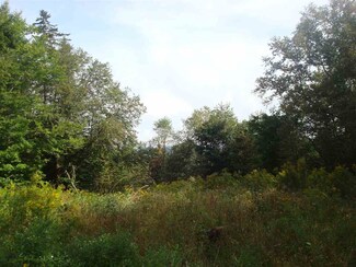 01 Healdville Rd Unit 1, Mount Holly, VT 05758