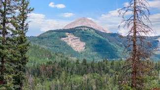 Tract 11 Lime Creek Rd, Durango, CO 81301