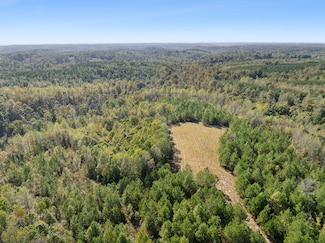 0 Cox Hollow Rd, Dover, TN 37058