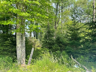 Lot 20 Hanlin Rd, Bruceton Mills, WV 26525