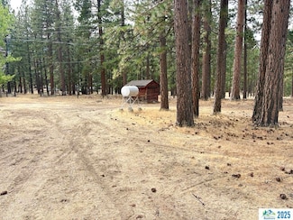 708-510 Wingfield Rd E, Janesville, CA 96114