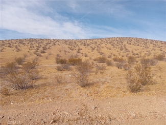 0 Vacant Land Unit DW25020276, Apple Valley, CA 92307