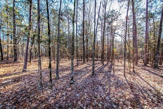000 Wood Ln, Clinton, AR 72031