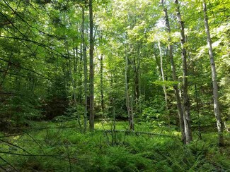 0 Route 9, Marlboro, VT 05344