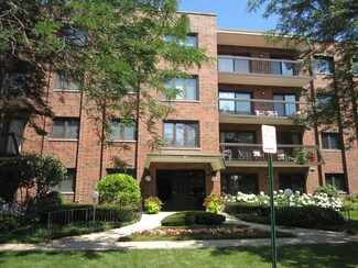 9221 Drake Ave Unit 408N, Evanston, IL 60203