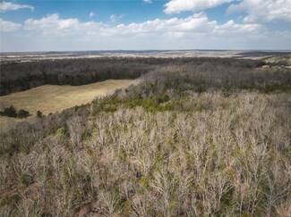 0 Drury Rd, Bellevue Township, MO 63631