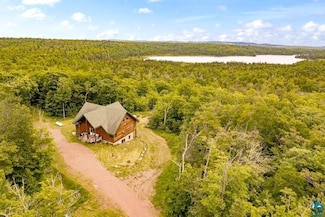 7360 Lookout Rd, Finland, MN 55603