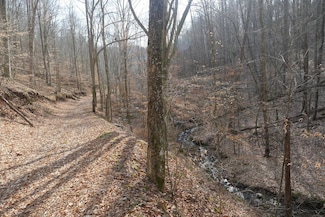 0 Homer Ln Unit LotWP001, Hiltons, VA 24258