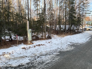 4002 S Park Ln, Big Lake, AK 99654