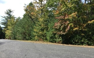 #18 Shelton Springs Dr, Hayesville, NC 28904