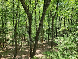 Lot 81, 82, & 88 Walnut Ln, Lake Lure, NC 28746
