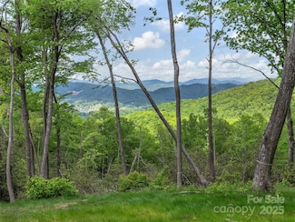 000 Hemlock Trail Unit 51, Laurel Park, NC 28739