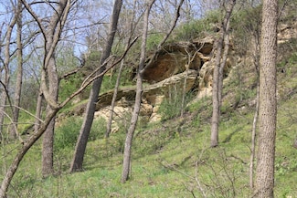 138 Peerless Rd, New Glarus, WI 53574