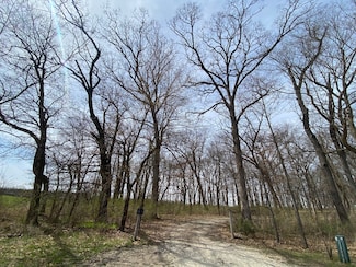 Lot 4, S Knoll Rd, Rochelle, IL 61068