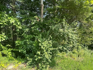 Lot 26 Rock Springs Rd, Celina, TN 38551