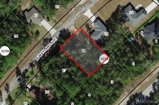 10075 N Wayland Ave, Citrus Springs, FL 34434
