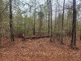 351 S Poplar St, Pembroke, GA 31321