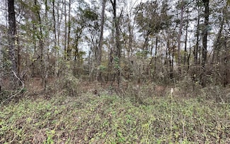 TBD 12th Terrace Lot 3, Live Oak, FL 32060