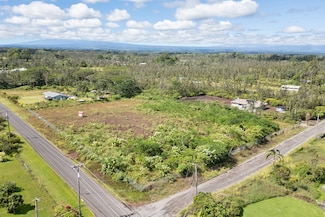 16-296 Orchid Land Dr, Keaau, HI 96749
