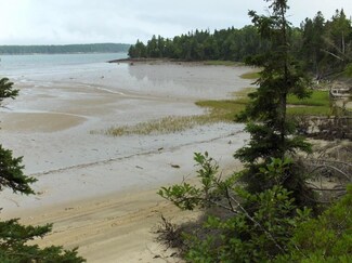 Lot 80 Ficketts Point Rd, Milbridge, ME 04658